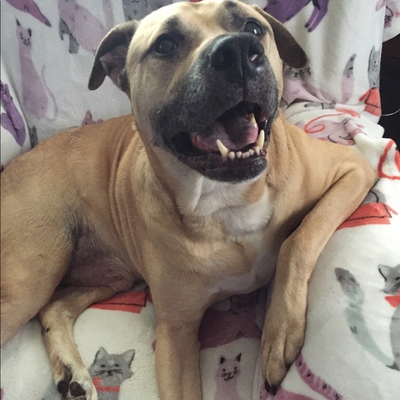 Meet your Posher, April - Picture 5 of 8